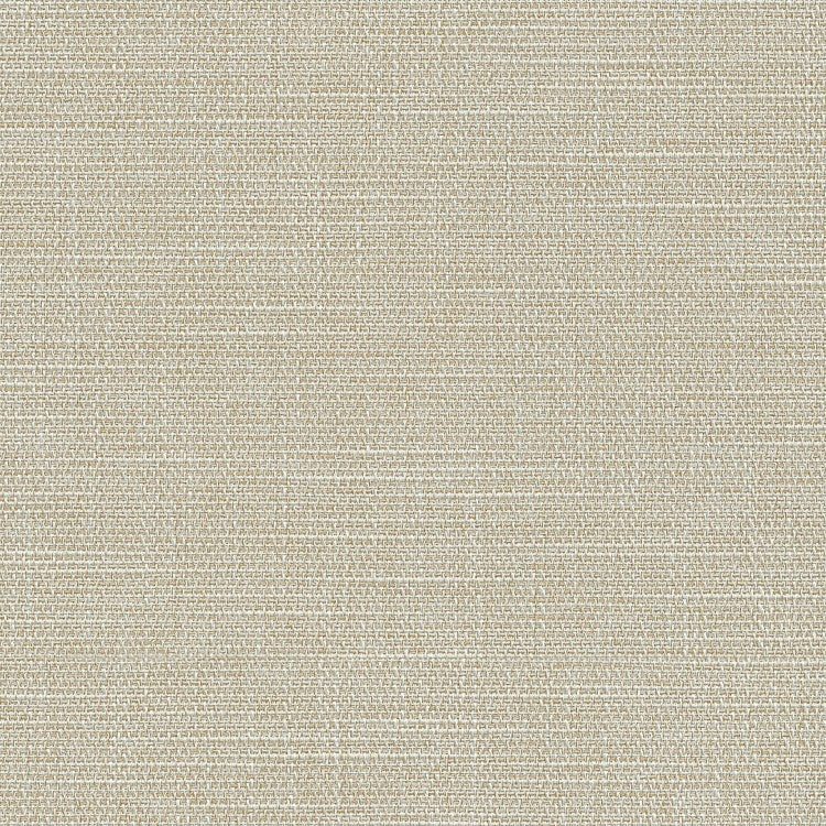 Roller Shade - Alpine Blackout