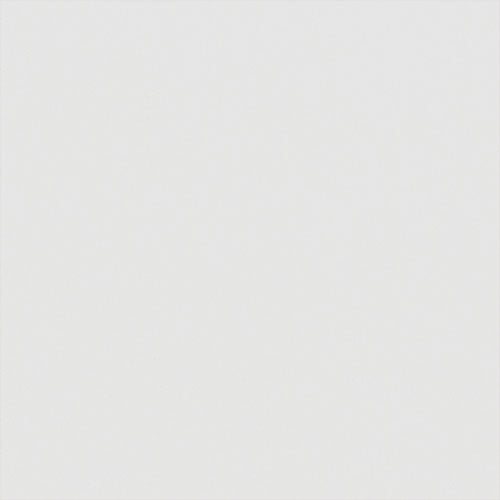 Roller Shade - Carnival Blackout - China White